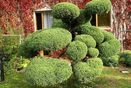 Wohnung Jena Kernberge - 2 Zimmer, 55 m&sup2;, 450&euro; | Angebot:25237455