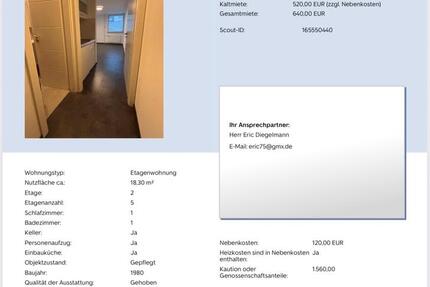 Wohnung Sandhausen - 1 Zimmer, 18 m&sup2;, 640&euro; | Angebot:26613959