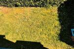 Erdgeschoßwohnung Friedrichsthal - 3 Zimmer, 85 m&sup2;, 800&euro; | Angebot:26260789