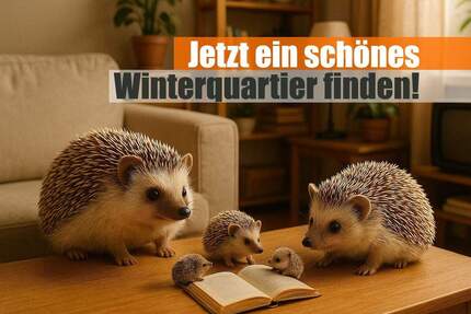 Jetzt ein schönes Winterquartier finden - Gemütliche 2-Raum Wohnung im Grünen mit Aufzug! 2 zimmer