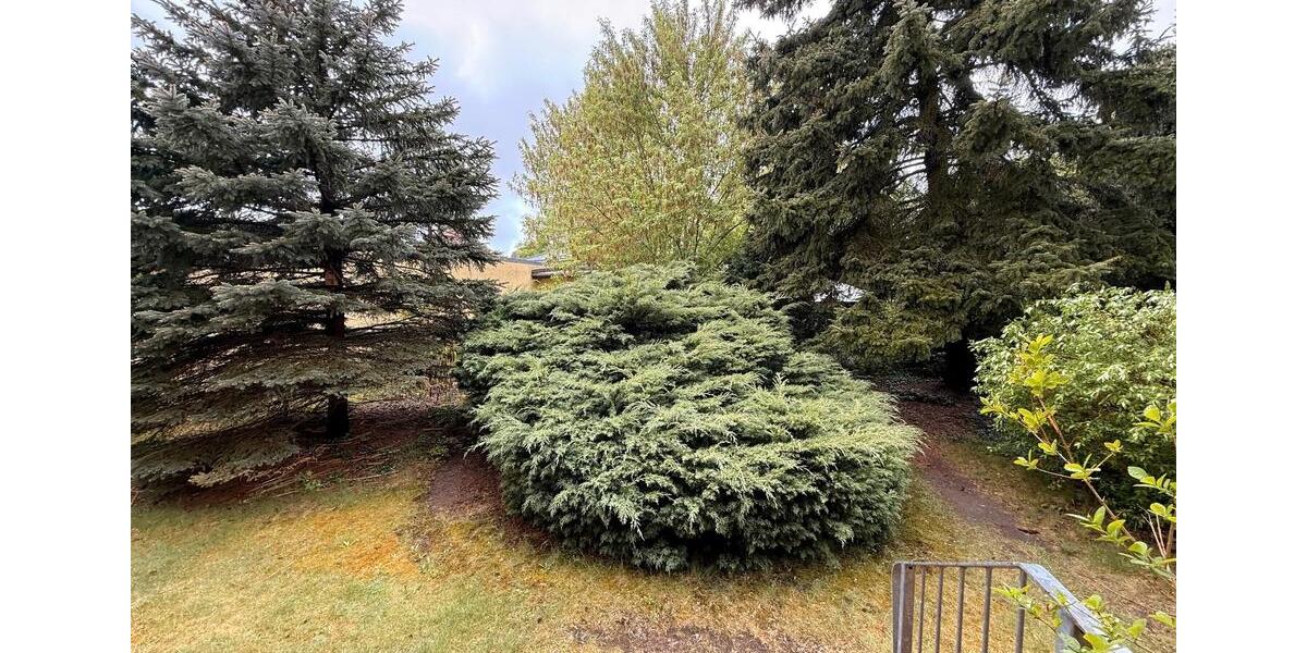 Gewerbeobjekt Berlin Treptow-Köpenick - 1.170&euro; | Angebot:26679394