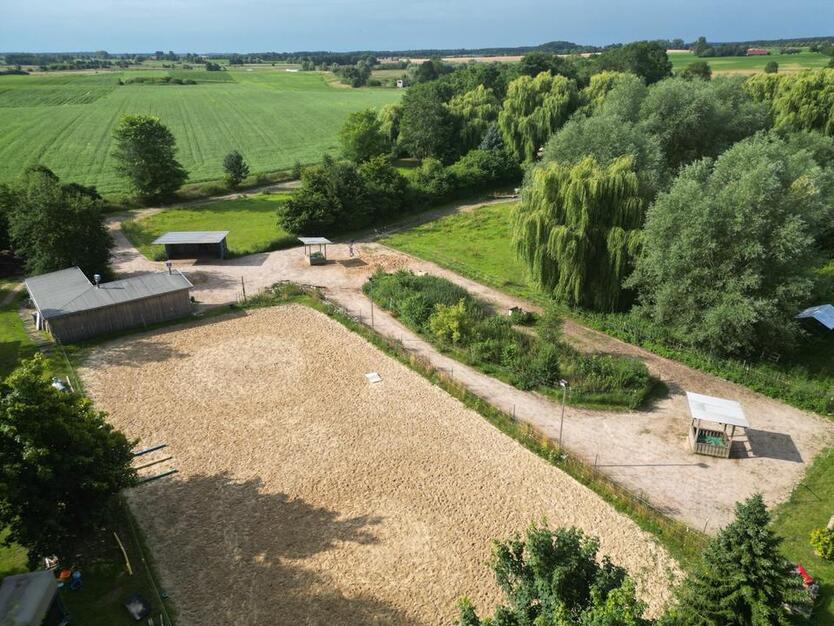 Wohnen mit Pferd, Offenstall, Paddocktrail zimmer