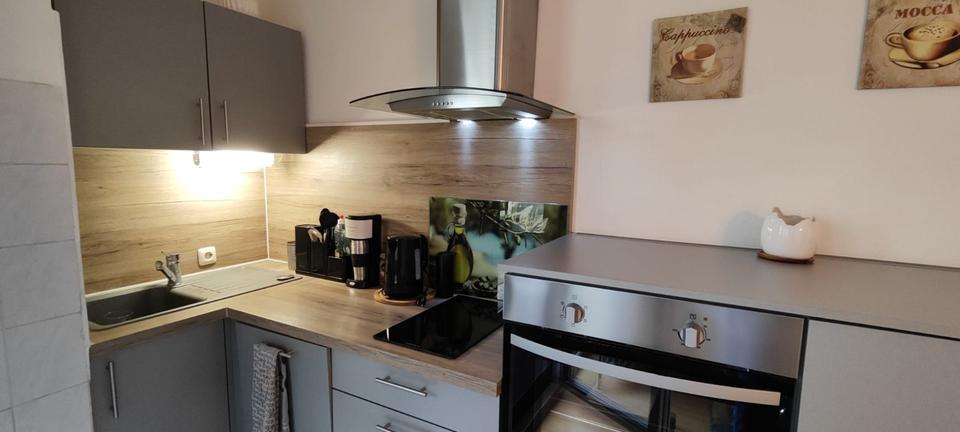 Möblierte 1 Zimmer Wohnung am Wöhrdersee mit Balkon 1 zimmer