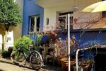 2 Zimmer in 3er-WG – Bonn Altstadt EG Altbau – 22 qm – plus Katze