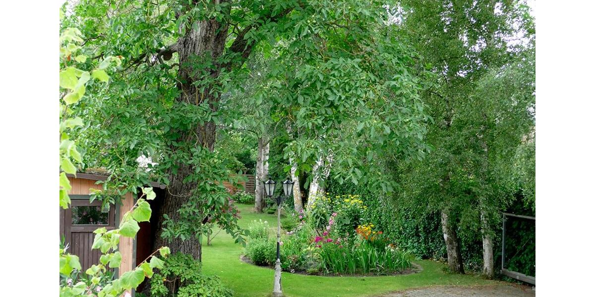 Hochparterre Rostock - 1 Zimmer, 41 m&sup2;, 950&euro; | Angebot:24223837