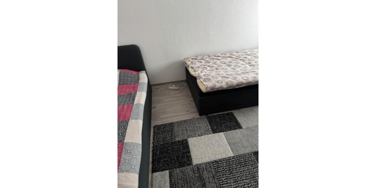 Etagenwohnung Ludwigshafen am Rhein Ludwigshafen-Hemshof - 4 Zimmer, 96 m&sup2;, 1.650&euro; | Angebot:25934719