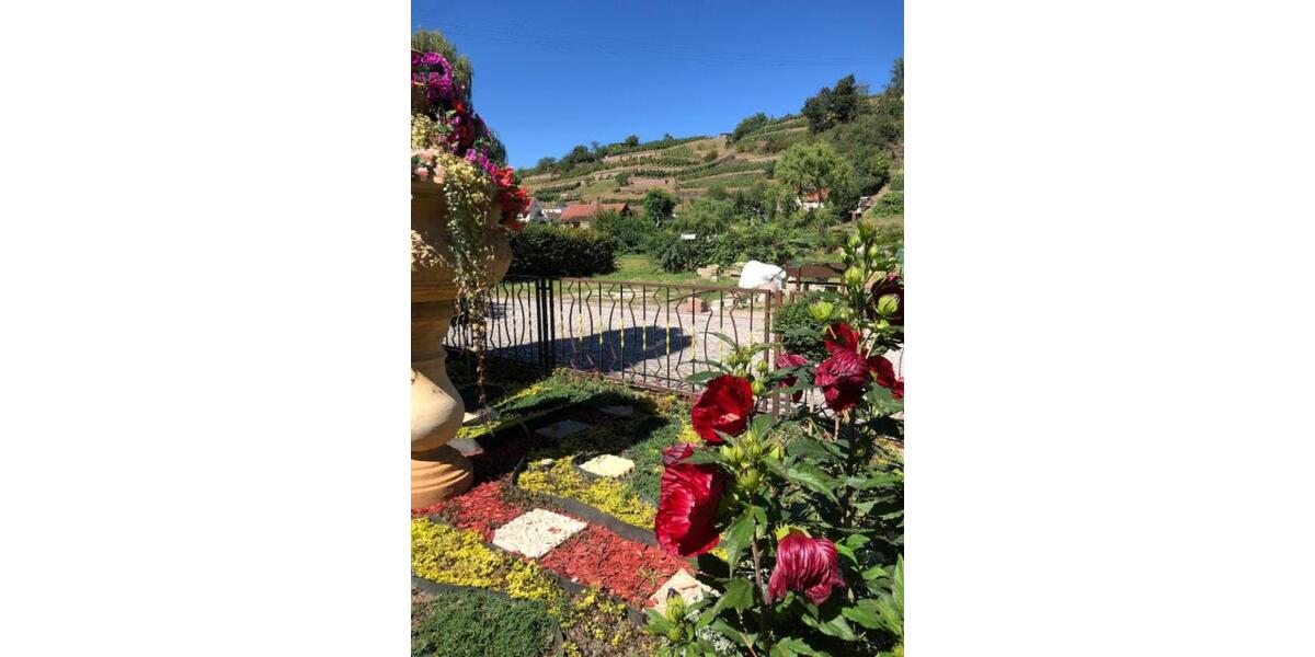 Wohnen auf Zeit Nünchritz - 3 Zimmer, 70 m&sup2;, 119&euro; | Angebot:24855947