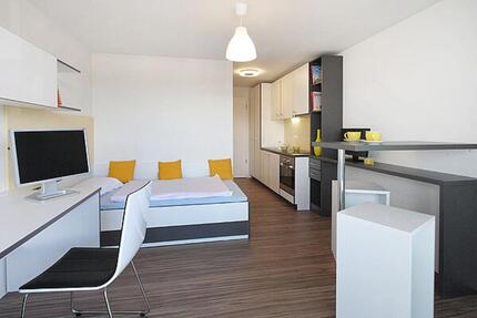 Furnished 1-room apartment 