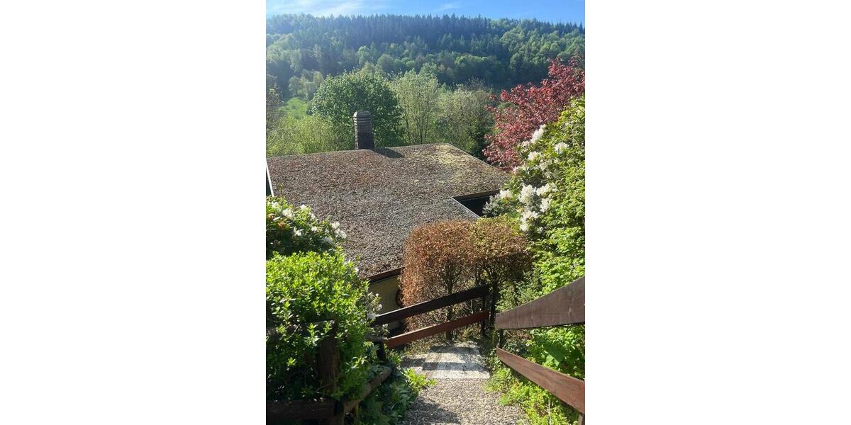 Harz Ferienhaus Blockhaus 6 Pers +Hund 2 Kamine gr Grundst. süd H 4 zimmer