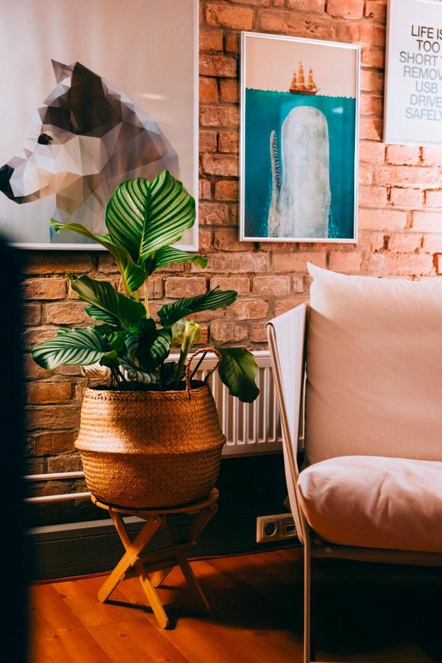 Co-Working und Arbeitsplätze in Rostock - All-in-Miete