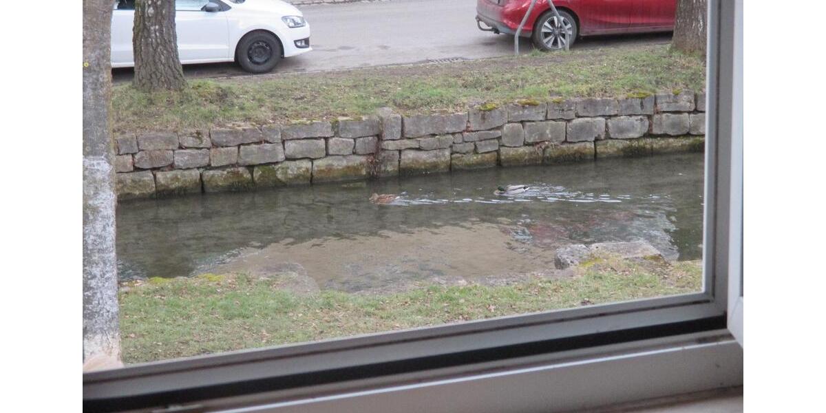 Reihenhaus Langenau - 3 Zimmer, 70 m&sup2;, 2.460&euro; | Angebot:25925465