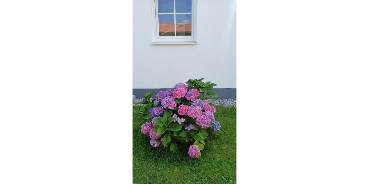 Wohnen im Grünen: Haus mit Garten & Garage 4 zimmer