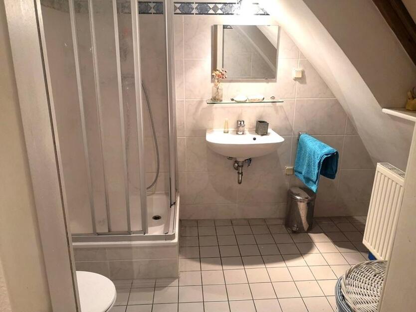 Zimmer Wohnung WG Dach über Berlin Mitte • Apartment for rent