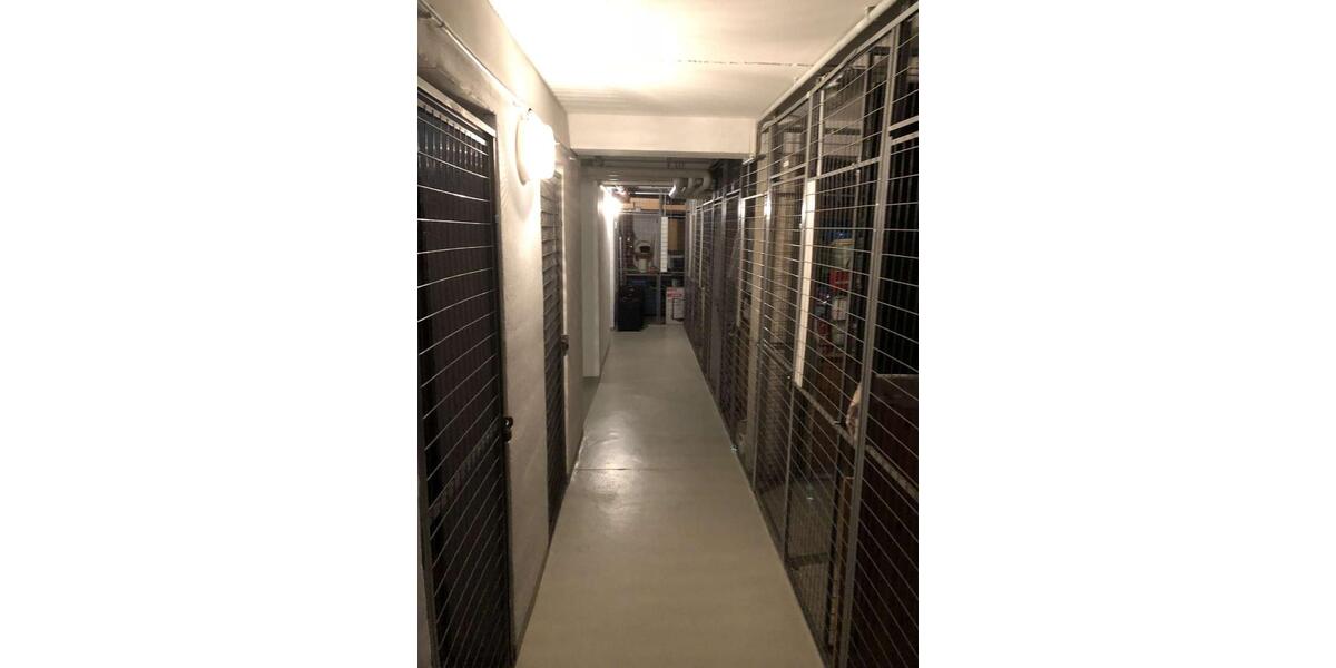 Etagenwohnung Dippoldiswalde - 1 Zimmer, 38 m&sup2;, 339&euro; | Angebot:26630150
