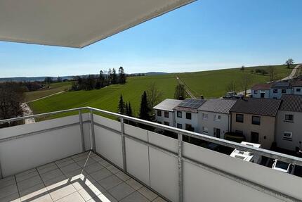 1 Zimmer Wohnung in Heimsheim zimmer