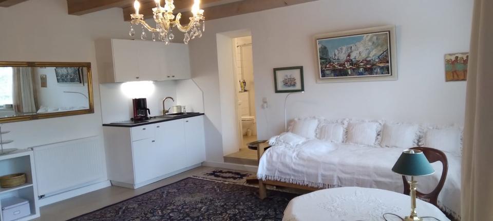 1 Zimmer Wohnung zu vermieten, möbliert, Kitchenette