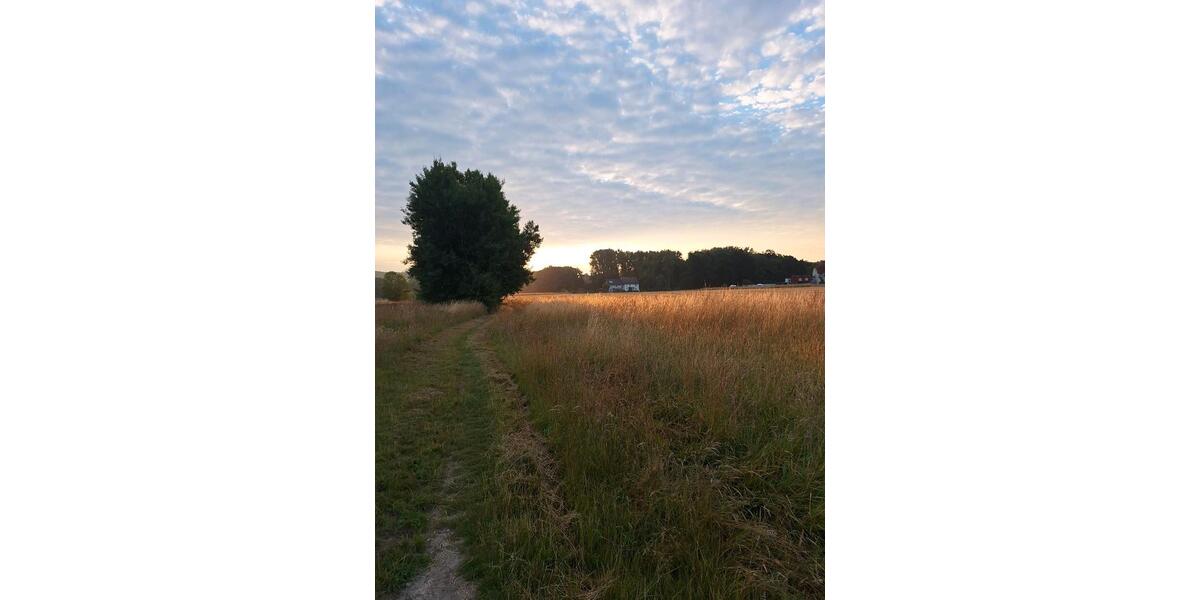 Wohnen auf Zeit Bad Salzuflen Ehrsen-Breden - 2 Zimmer, 28 m&sup2;, 450&euro; | Angebot:21562203