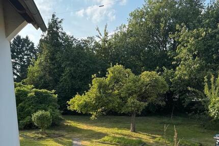 3-Zimmer-WG, Einzug ab 1. Dezember 3 zimmer