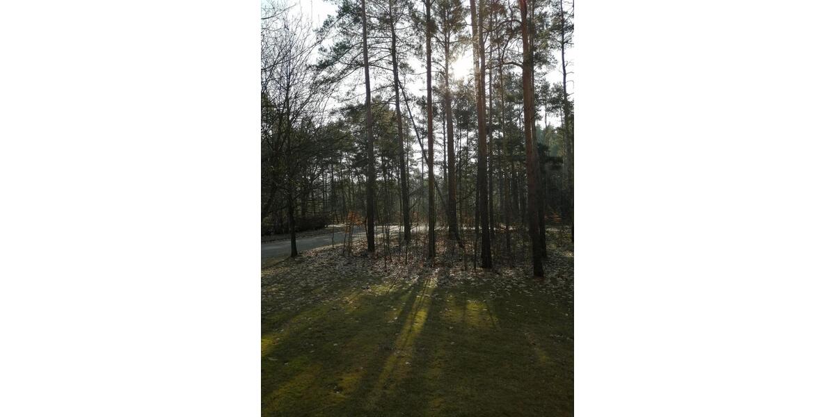 Etagenwohnung Luckau - 3 Zimmer, 66 m&sup2;, 528&euro; | Angebot:24784217