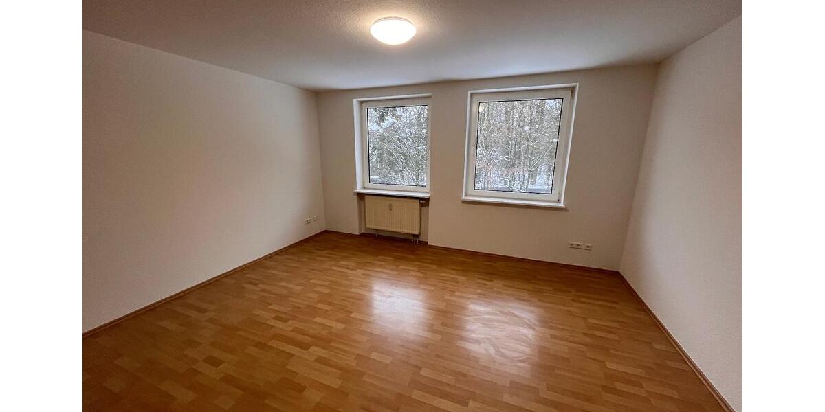 Renovierte 1-Zimmer-Wohnung in Bad Bevensen - ab sofort frei ! 1 zimmer