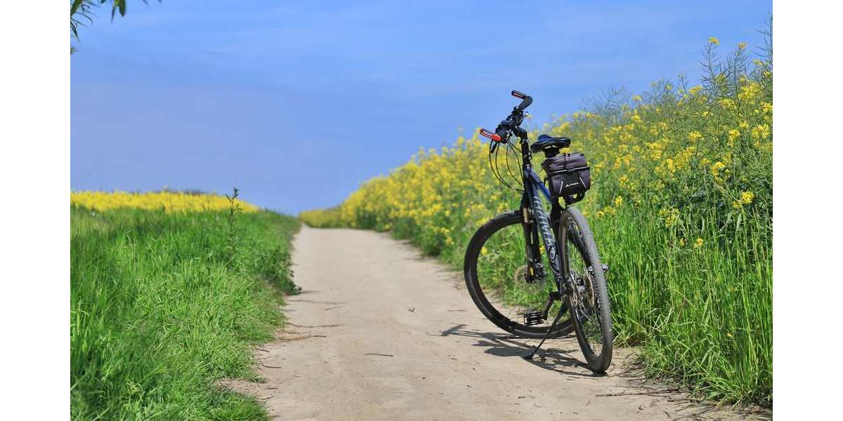 Wohnung zum Mieten in Warnkenhagen 540 € 60 m² 2 zimmer