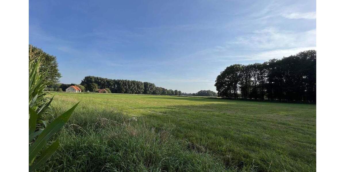 Haus im Grünen, Bad Rothenfelde, Versmold zu vermieten 5 zimmer