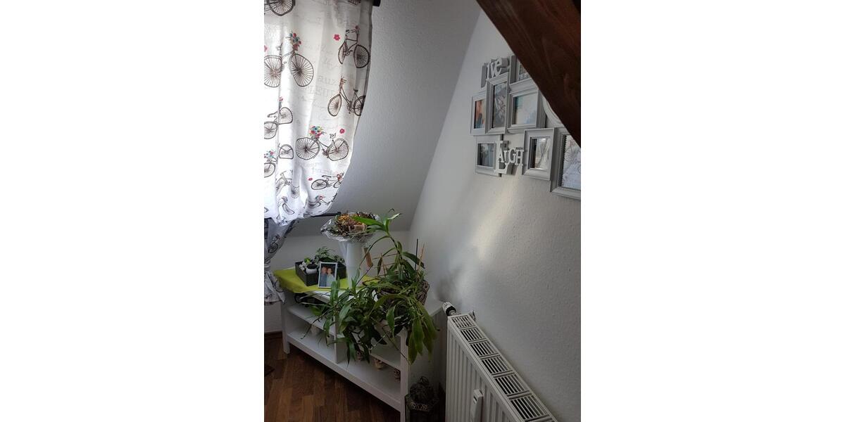 2-Zimmer-Wohnung in Kröslin mit Parkplatz & Gartennutzung 48 m2 2 zimmer