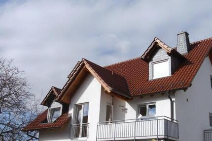 Lichtdurchflutete ein Zimmer Dachgeschosswohnung in Nieder-Olm 1 zimmer