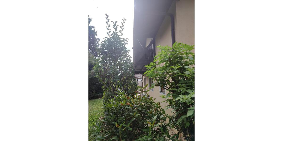 Dachgeschoßwohnung Bad Griesbach im Rottal - 3 Zimmer, 74 m&sup2;, 650&euro; | Angebot:25393428