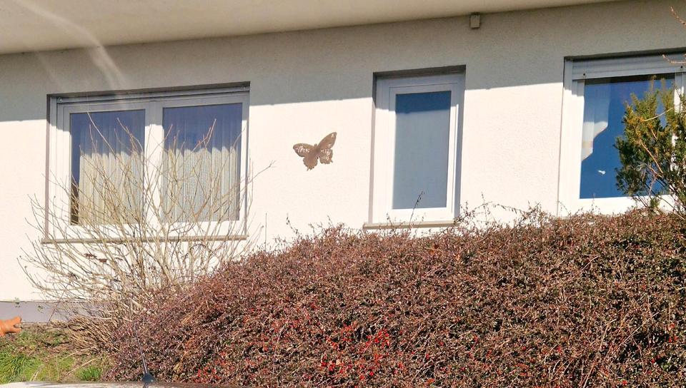 Erdgeschoßwohnung Plettenberg - 2 Zimmer, 60 m&sup2;, 600&euro; | Angebot:24837952