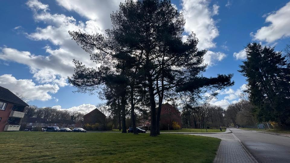 Hochparterre Hambergen - 3 Zimmer, 69 m&sup2;, 500&euro; | Angebot:26016768