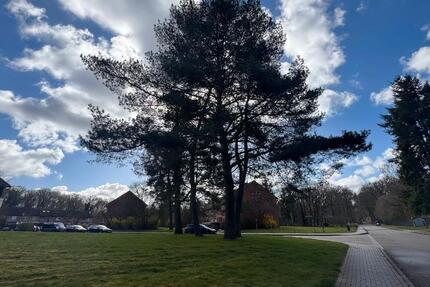 Wohnung Hambergen - 3 Zimmer, 69 m&sup2;, 500&euro; | Angebot:26016768