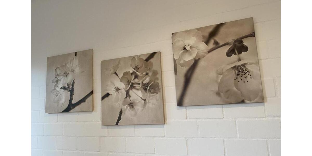 Erdgeschoßwohnung Meine - 2 Zimmer, 55 m&sup2;, 670&euro; | Angebot:25446649