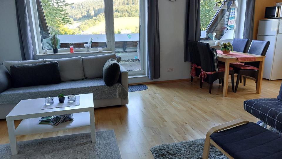 Etagenwohnung Winterberg - 2 Zimmer, 50 m&sup2;, 750&euro; | Angebot:26598040