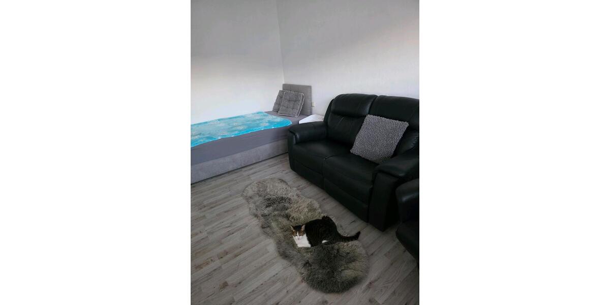 Wohnen auf Zeit Langenpreising - 1 Zimmer, 14 m&sup2;, 450&euro; | Angebot:26689950