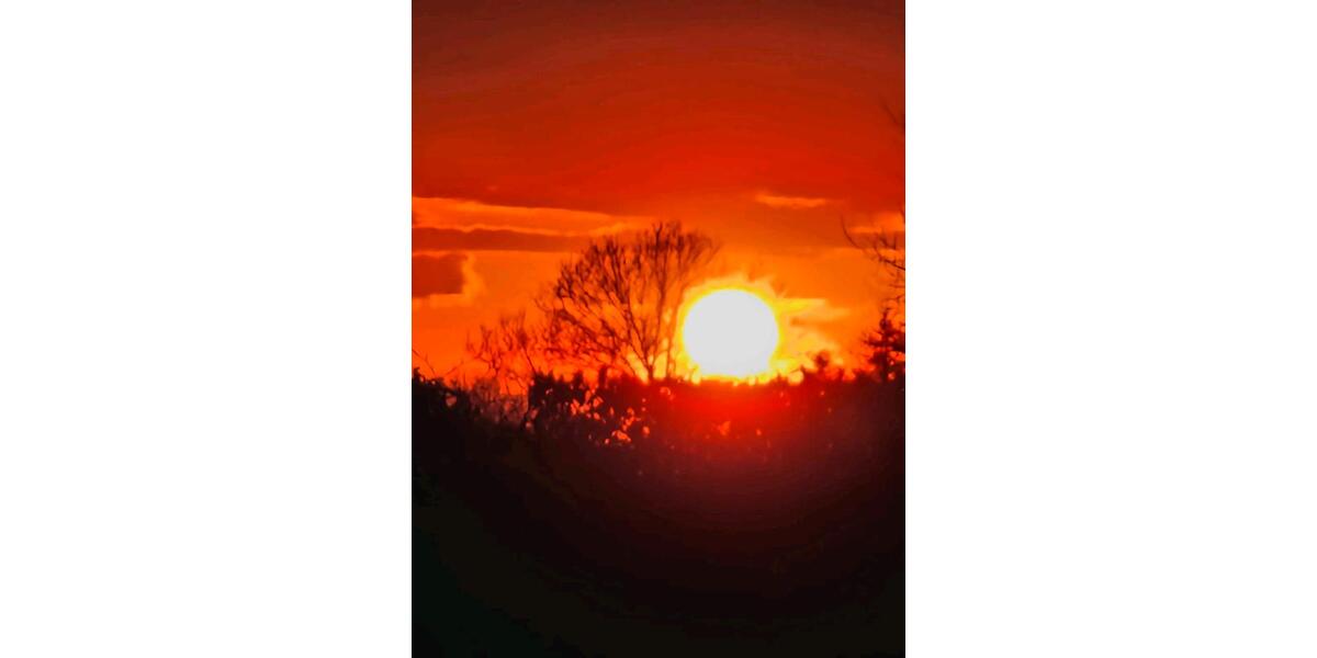 Einfamilienhaus Thale - 3 Zimmer, 50 m&sup2;, 60&euro; | Angebot:25045745