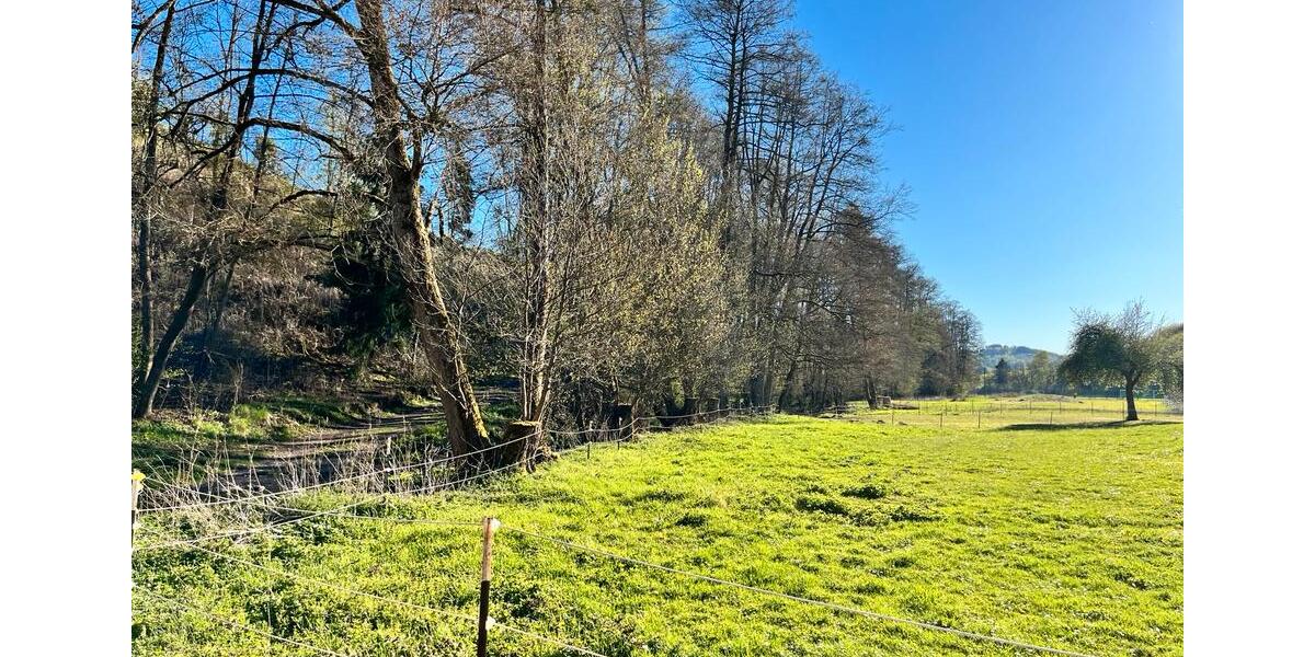 Einfamilienhaus Korbach - 7 Zimmer, 177 m&sup2;, 985&euro; | Angebot:26636423