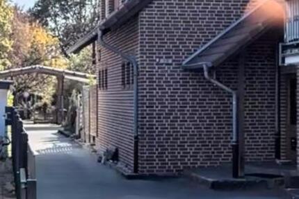 Wohnung Kevelaer - 3 Zimmer, 150 m&sup2;, 1.150&euro; | Angebot:25267736