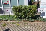 Gewerbeobjekt Nienburg - 950&euro; | Angebot:26740044