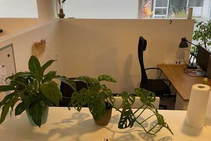 Büro in Freilassing 285 € 8 m²