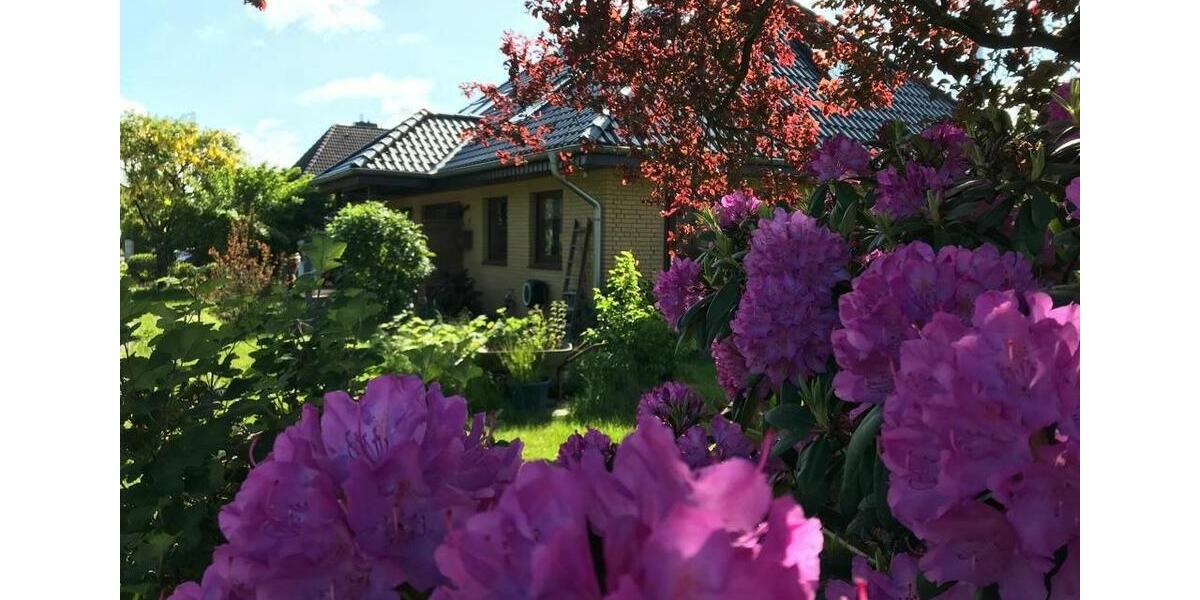 Einfamilienhaus Heide - 5 Zimmer, 159 m&sup2;, 1.600&euro; | Angebot:26603454