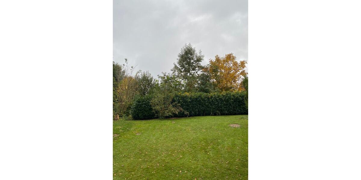 Einfamilienhaus Bad Wünnenberg - 3 Zimmer, 55 m&sup2;, 554&euro; | Angebot:24868353