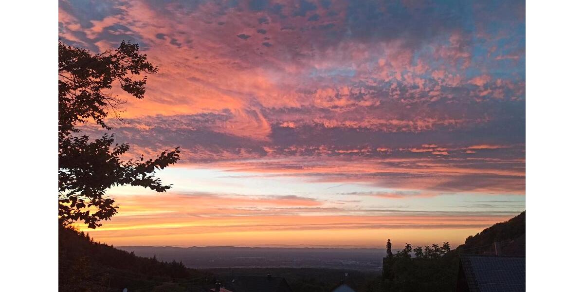 Dachgeschoßwohnung Baden-Baden Baden - 3 Zimmer, 62 m&sup2;, 830&euro; | Angebot:24379302