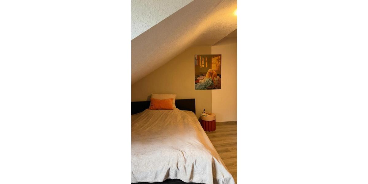 Dachgeschoßwohnung Mainz - 2 Zimmer, 45 m&sup2;, 990&euro; | Angebot:25724893