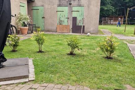 Wohnung Nordenham - 6 Zimmer, 100 m&sup2;, 950&euro; | Angebot:25162359