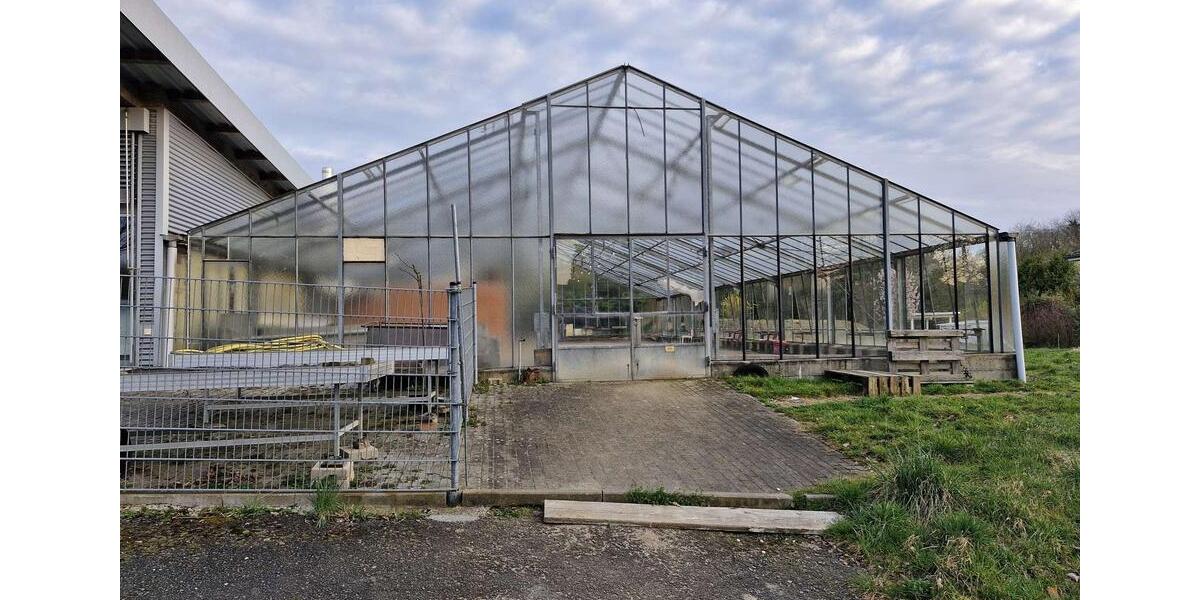 Gewerbeobjekt Ober-Ramstadt Ramstadt - 1.450&euro; | Angebot:24155028