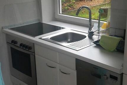 Wohnung Hoisdorf - 2 Zimmer, 40 m&sup2;, 595&euro; | Angebot:25782423