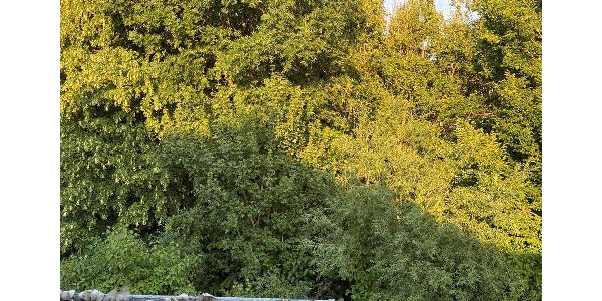 Etagenwohnung Breitenworbis - 3 Zimmer, 80 m&sup2;, 680&euro; | Angebot:25805243