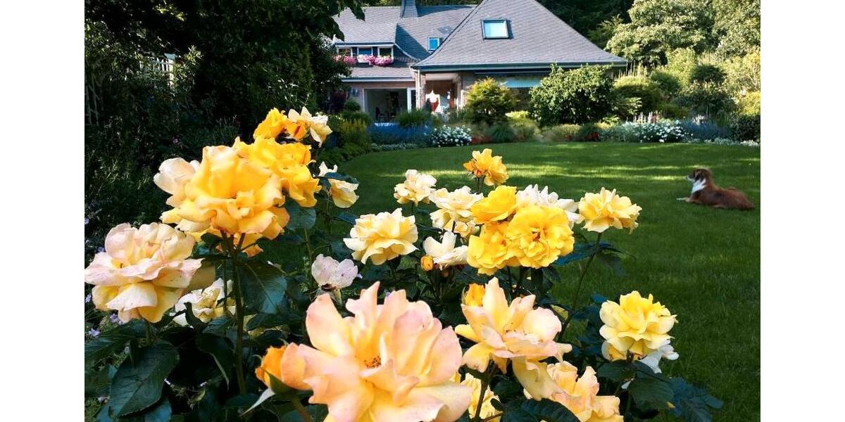 Wohnen auf Zeit Hage - 4 Zimmer, 100 m&sup2;, 1.250&euro; | Angebot:16677225