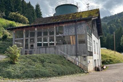 Gewerbeobjekt Winden im Elztal - 950&euro; | Angebot:26495312